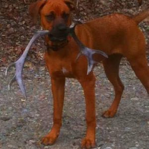 Meet your Posher, Richard